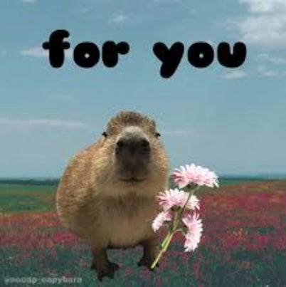 The Gentle Joy of Capybaras: Why They Make People Uniquely Happy