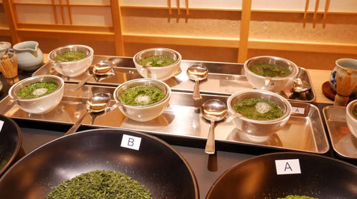 Top 5 Matcha Spots in Japan (2026)