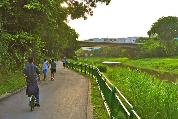 Slow Living in Singapore: 4 Quiet Neighbourhoods to Explore (2026 Guide)
